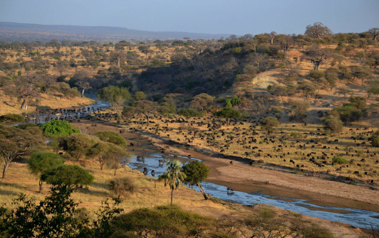Tarangire National Park Tanzania - Wie is de Mol 2026 locatie