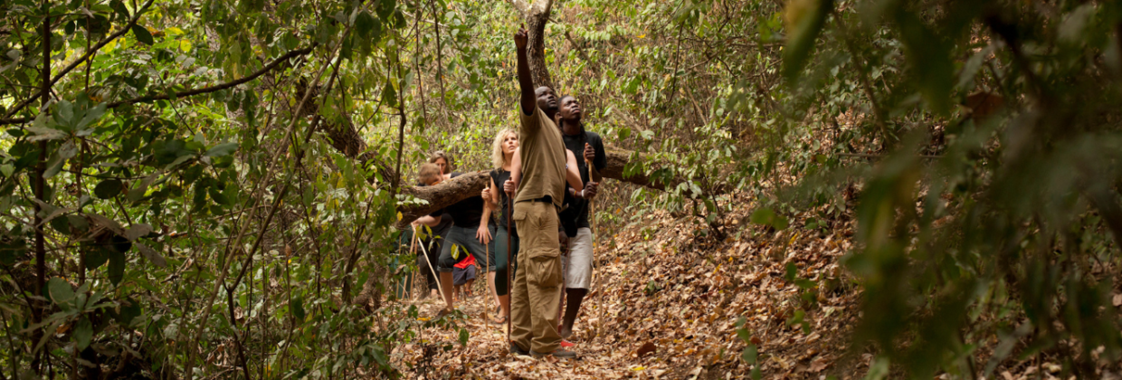 Lake Duluti wandeling Tanzania - Wie is de Mol 2026 locatie