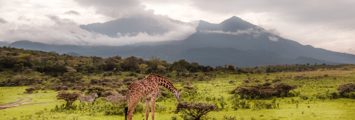 Arusha National Park safari Tanzania - Wie is de Mol 2026 locatie