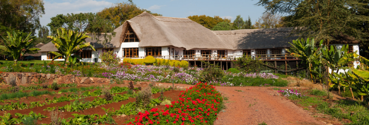 Coffee Lodge Tanzania - Wie is de Mol 2026 locatie