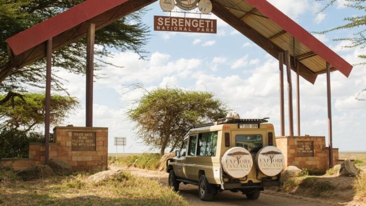 Serengeti National Park safari - Wie is de Mol 2026 locatie