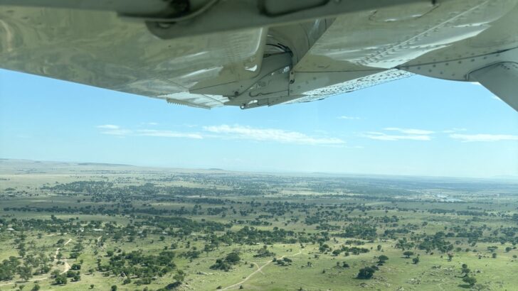 Safari Tanzania met pakketreis inclusief vlucht