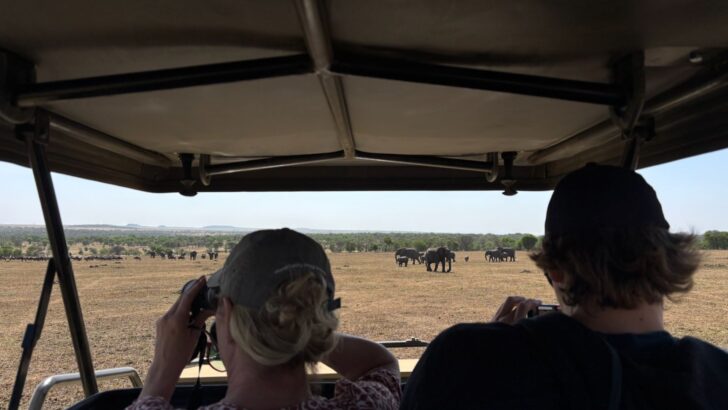 Reizigers kijken vanuit de safari-jeep over de savanne